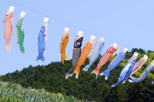 鯉のぼりはいつからあげる いつしまう 毎日しまうの 雨の日は 落花流水